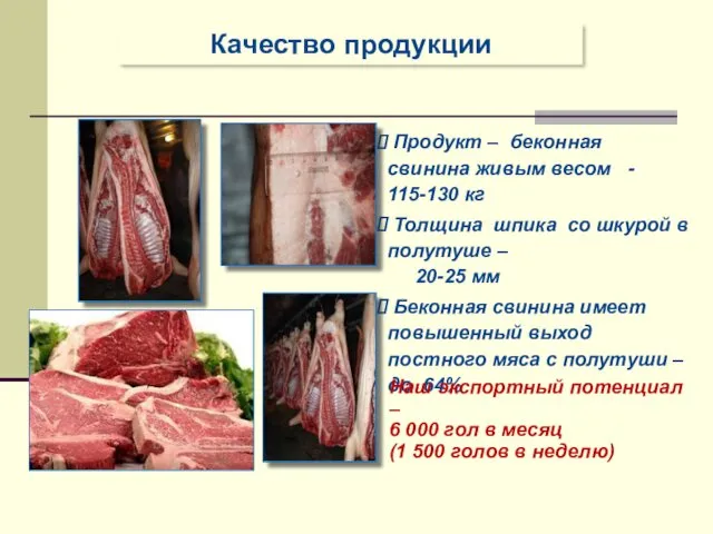 Продукт – беконная свинина живым весом - 115-130 кг Толщина
