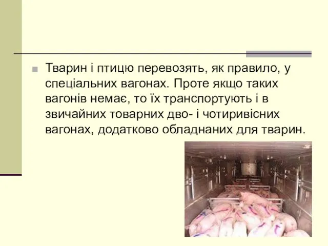 Тварин і птицю перевозять, як правило, у спеціальних вагонах. Проте