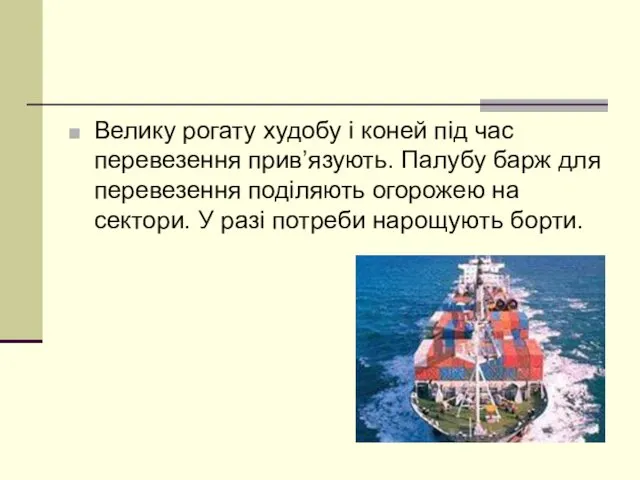 Велику рогату худобу і коней під час перевезення прив’язують. Палубу