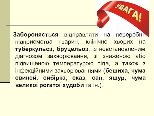 Забороняється відправляти на переробні підприємства тварин, клінічно хворих на туберкульоз,