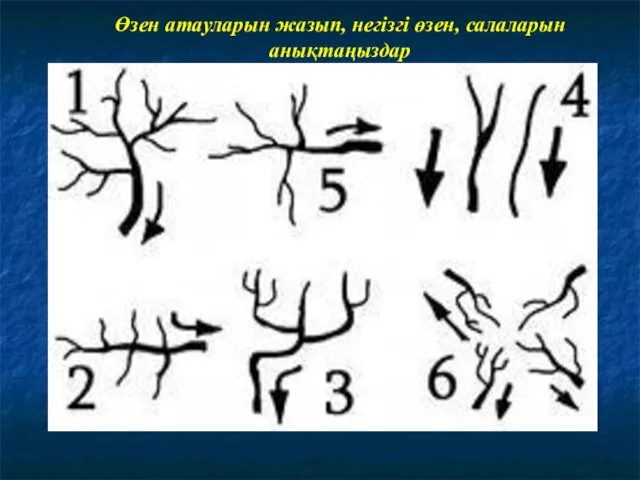 Өзен атауларын жазып, негізгі өзен, салаларын анықтаңыздар