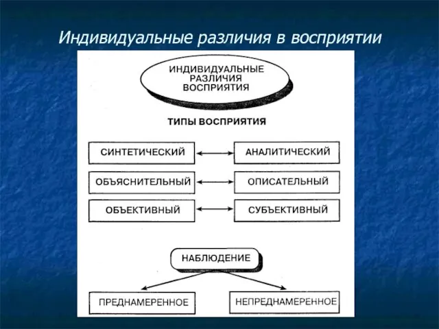 Индивидуальные различия в восприятии