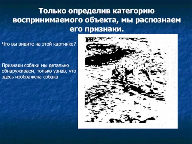 Только определив категорию воспринимаемого объекта, мы распознаем его признаки. Что