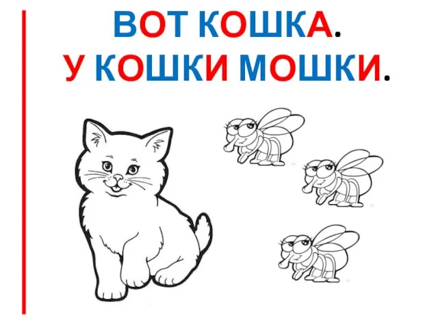 ВОТ КОШКА. У КОШКИ МОШКИ.