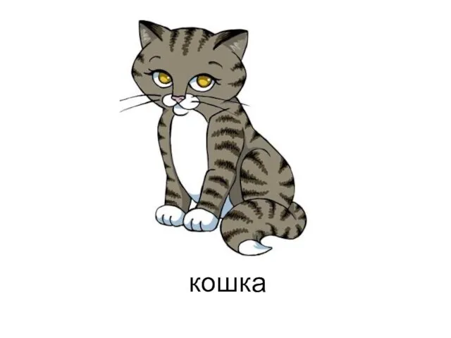 кошка