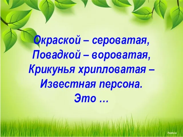 Окраской – сероватая, Повадкой – вороватая, Крикунья хрипловатая – Известная персона. Это …