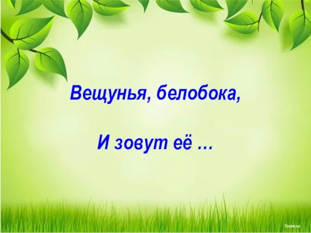 Вещунья, белобока, И зовут её …