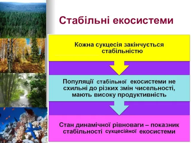 Стабільні екосистеми