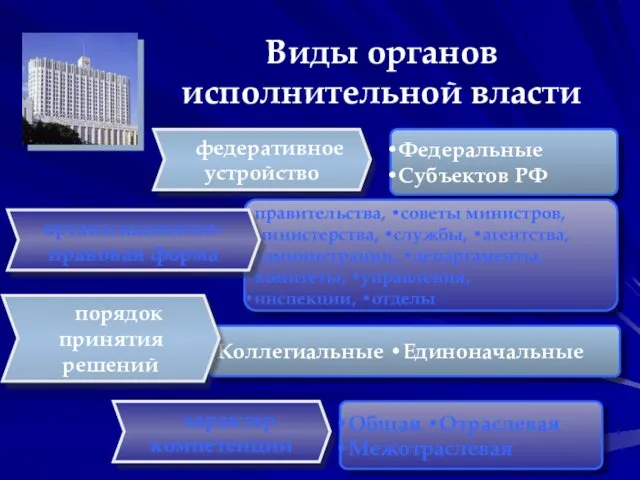 Виды органов исполнительной власти федеративное устройство Федеральные Субъектов РФ правительства,