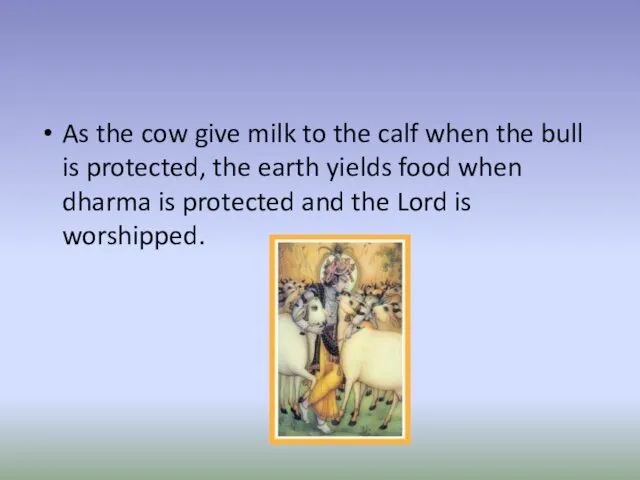 As the cow give milk to the calf when the
