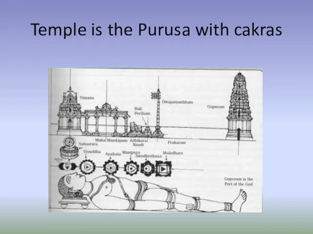Temple is the Purusa with cakras