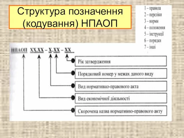 Структура позначення (кодування) НПАОП