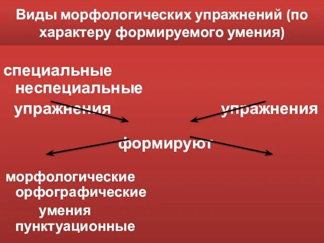 Виды морфологических упражнений (по характеру формируемого умения) специальные неспециальные упражнения