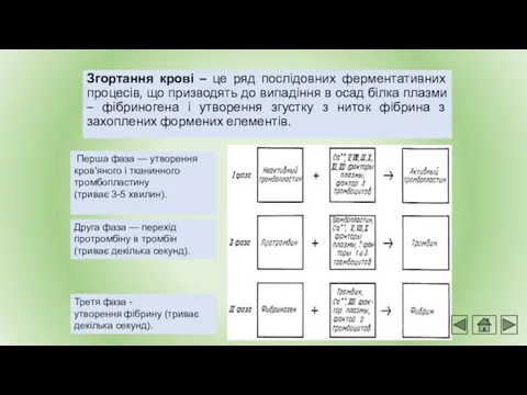 Згортання крові – це ряд послідовних ферментативних процесів, що призводять