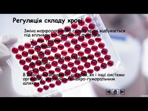 Регуляція складу крові Зміна морфологічного складу крові відбувається під впливом