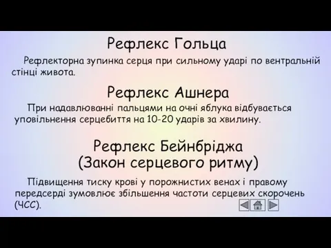 Рефлекторна зупинка серця при сильному ударі по вентральній стінці живота.