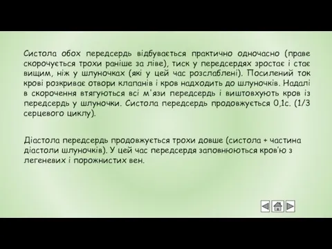 Систола обох передсердь відбувається практично одночасно (праве скорочується трохи раніше