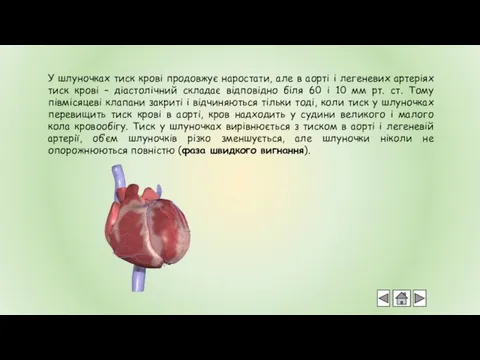 У шлуночках тиск крові продовжує наростати, але в аорті і