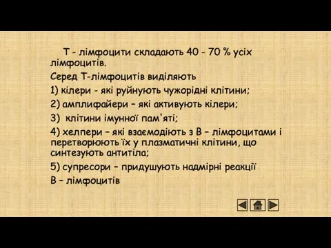 Т - лімфоцити складають 40 - 70 % усіх лімфоцитів.