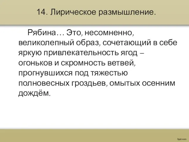 14. Лирическое размышление. Рябина… Это, несомненно, великолепный образ, сочетающий в