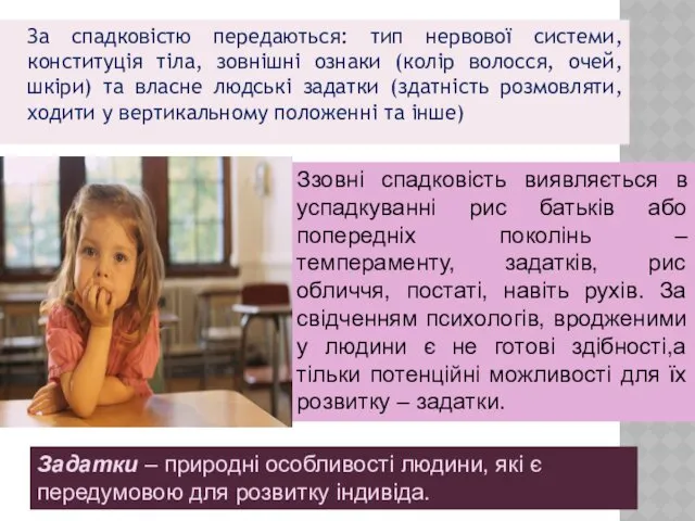 За спадковістю передаються: тип нервової системи, конституція тіла, зовнішні ознаки