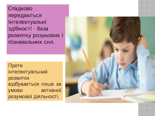 Спадково передаються інтелектуальні здібності – база розвитку розумових і пізнавальних