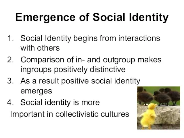 Emergence of Social Identity Social Identity begins from interactions with