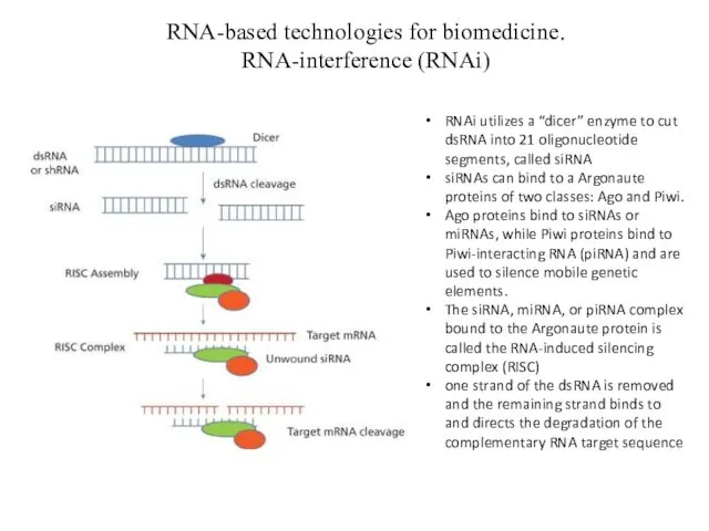 RNA-based technologies for biomedicine. RNA-interference (RNAi) RNAi utilizes a “dicer”