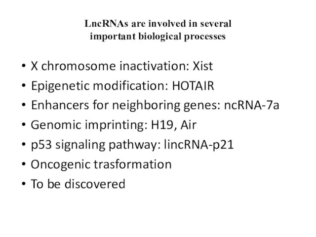 LncRNAs are involved in several important biological processes X chromosome