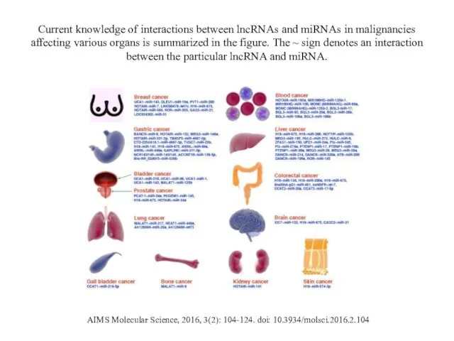 Current knowledge of interactions between lncRNAs and miRNAs in malignancies