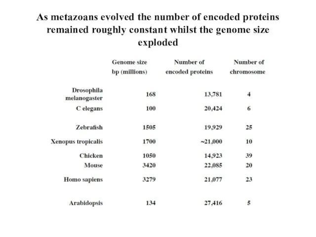 As metazoans evolved the number of encoded proteins remained roughly constant whilst the genome size exploded