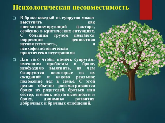 Психологическая несовместимость В браке каждый из супругов может выступать как