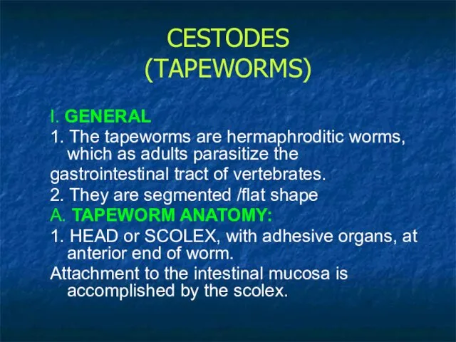 CESTODES (TAPEWORMS) I. GENERAL 1. The tapeworms are hermaphroditic worms,