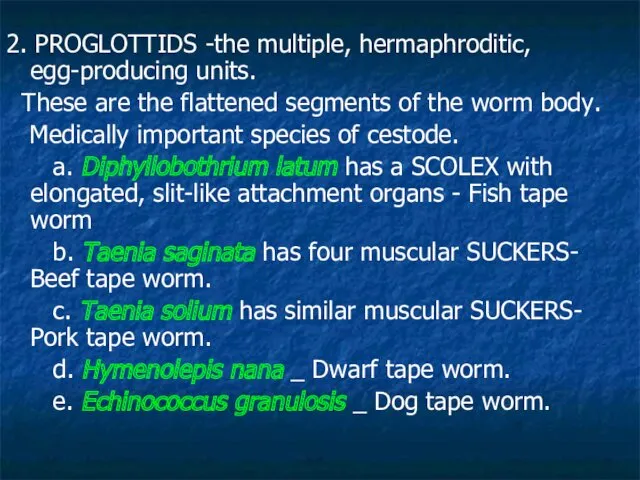 2. PROGLOTTIDS -the multiple, hermaphroditic, egg-producing units. These are the