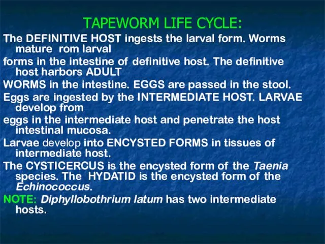 TAPEWORM LIFE CYCLE: The DEFINITIVE HOST ingests the larval form.