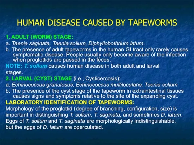HUMAN DISEASE CAUSED BY TAPEWORMS 1. ADULT (WORM) STAGE: a.