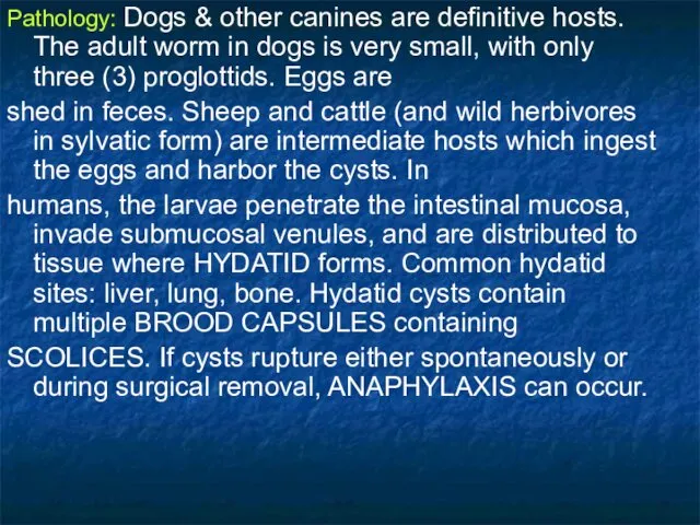 Pathology: Dogs & other canines are definitive hosts. The adult
