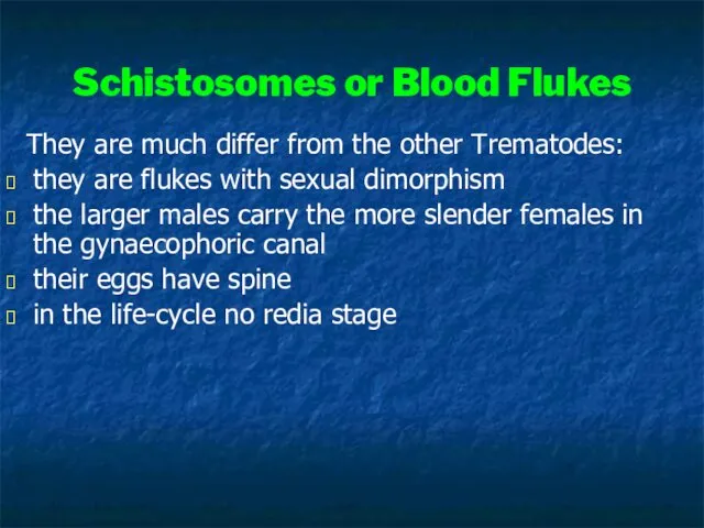Schistosomes or Blood Flukes They are much differ from the