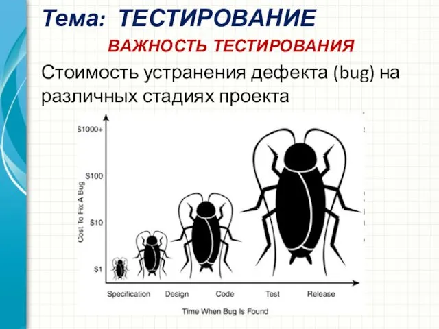 Тема: ТЕСТИРОВАНИЕ Стоимость устранения дефекта (bug) на различных стадиях проекта ВАЖНОСТЬ ТЕСТИРОВАНИЯ