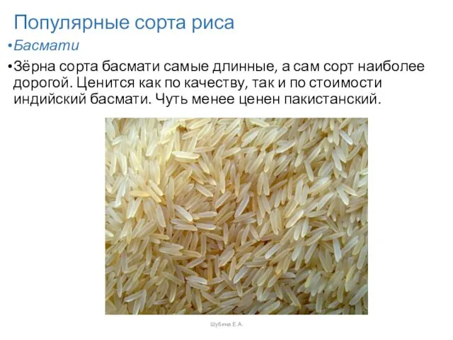 Шубина Е.А. Популярные сорта риса Басмати Зёрна сорта басмати самые длинные, а сам