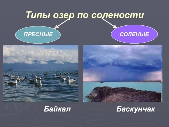 Типы озер по солености Байкал Баскунчак ПРЕСНЫЕ СОЛЕНЫЕ