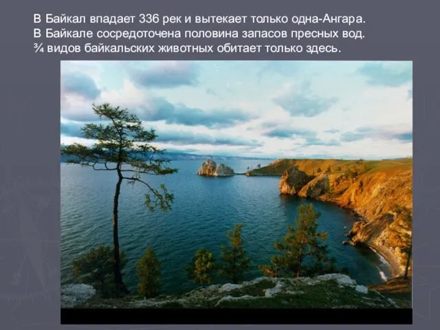 В Байкал впадает 336 рек и вытекает только одна-Ангара. В