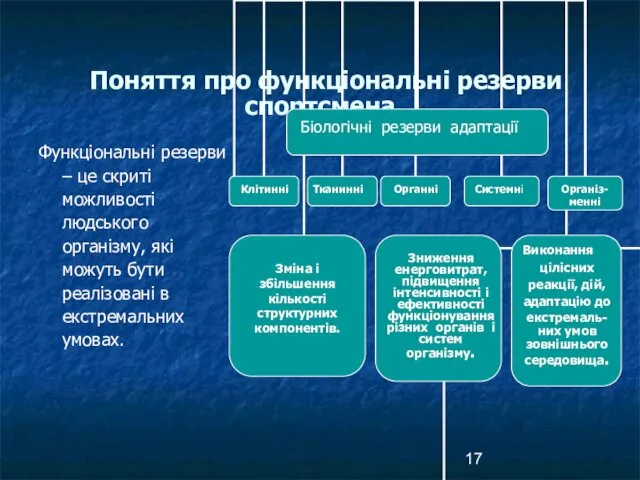 Поняття про функціональні резерви спортсмена Функціональні резерви – це скриті