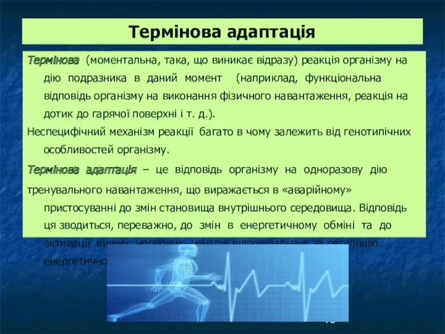 Термінова адаптація Термінова (моментальна, така, що виникає відразу) реакція організму