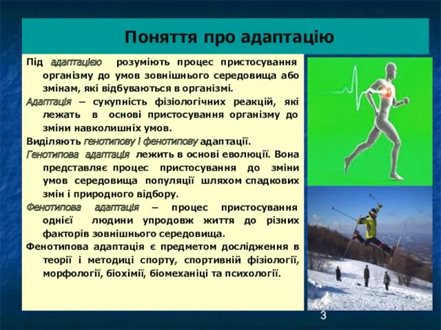 Поняття про адаптацію Під адаптацією розуміють процес пристосування організму до