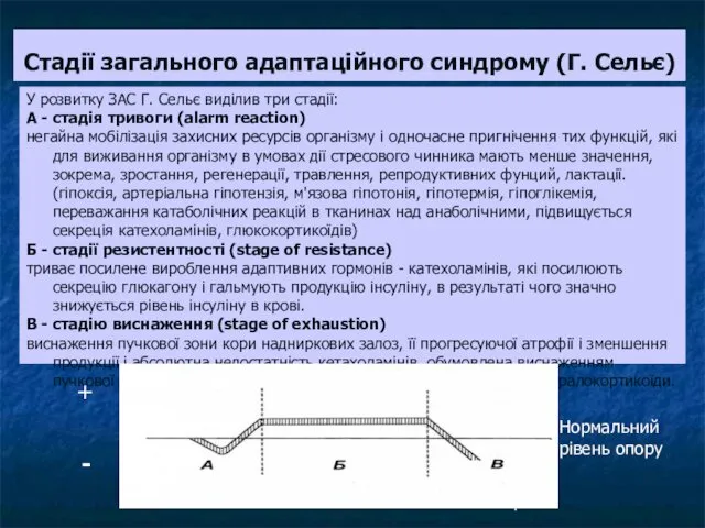 Стадії загального адаптаційного синдрому (Г. Сельє) У розвитку ЗАС Г.