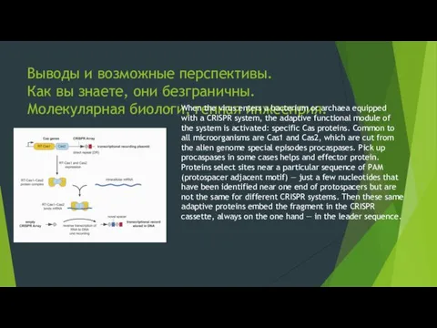 Выводы и возможные перспективы. Как вы знаете, они безграничны. Молекулярная