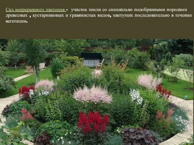 Сад непрерывного цветения - участок земли со специально подобранными породами