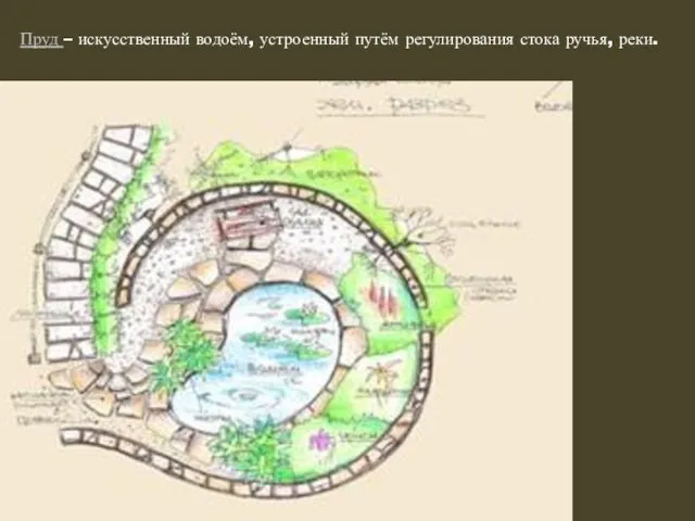 Пруд – искусственный водоём, устроенный путём регулирования стока ручья, реки.