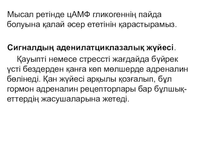 Мысал ретінде цАМФ гликогеннің пайда болуына қалай әсер ететінін қарастырамыз. Сигналдың аденилатциклазалық жүйесі.